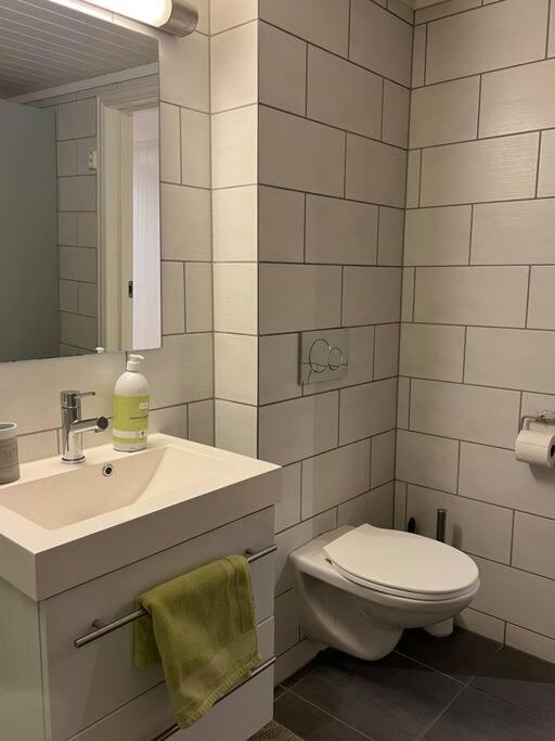 Tjodalyng - Ved Viksfjord - Sokkelleilighet Larvik Esterno foto